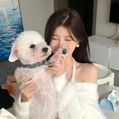 愤怒的蝴蝶