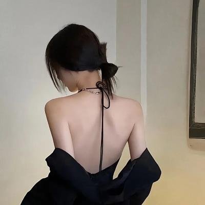 光荣之路上的狗